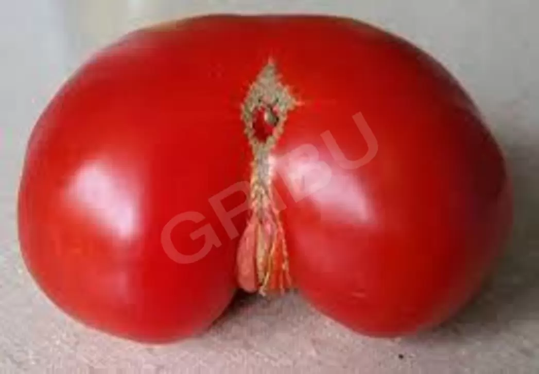 Sludinājumu (349974) - storm13 1